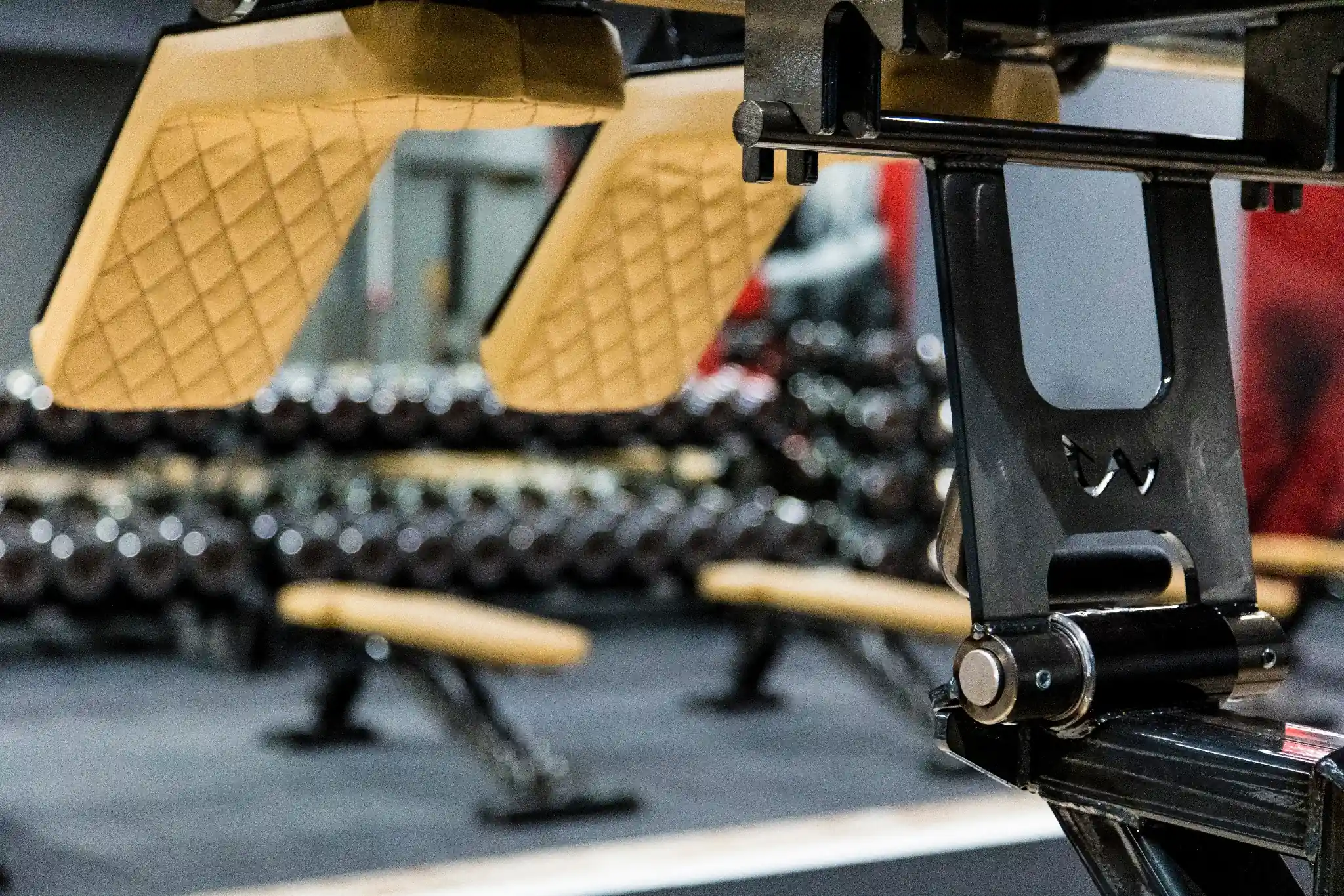 Upholstery and Detail Options