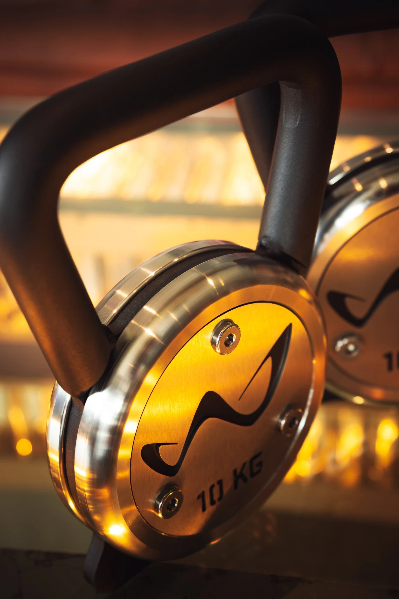 Stainless Kettlebells